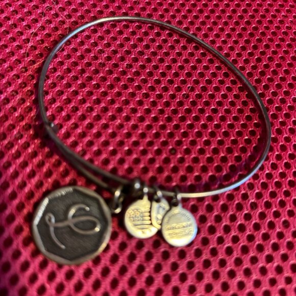 Alex And Ani Initial L Charm Rafaelian Silver Finish Bangle Bracelet - Picture 5 of 5